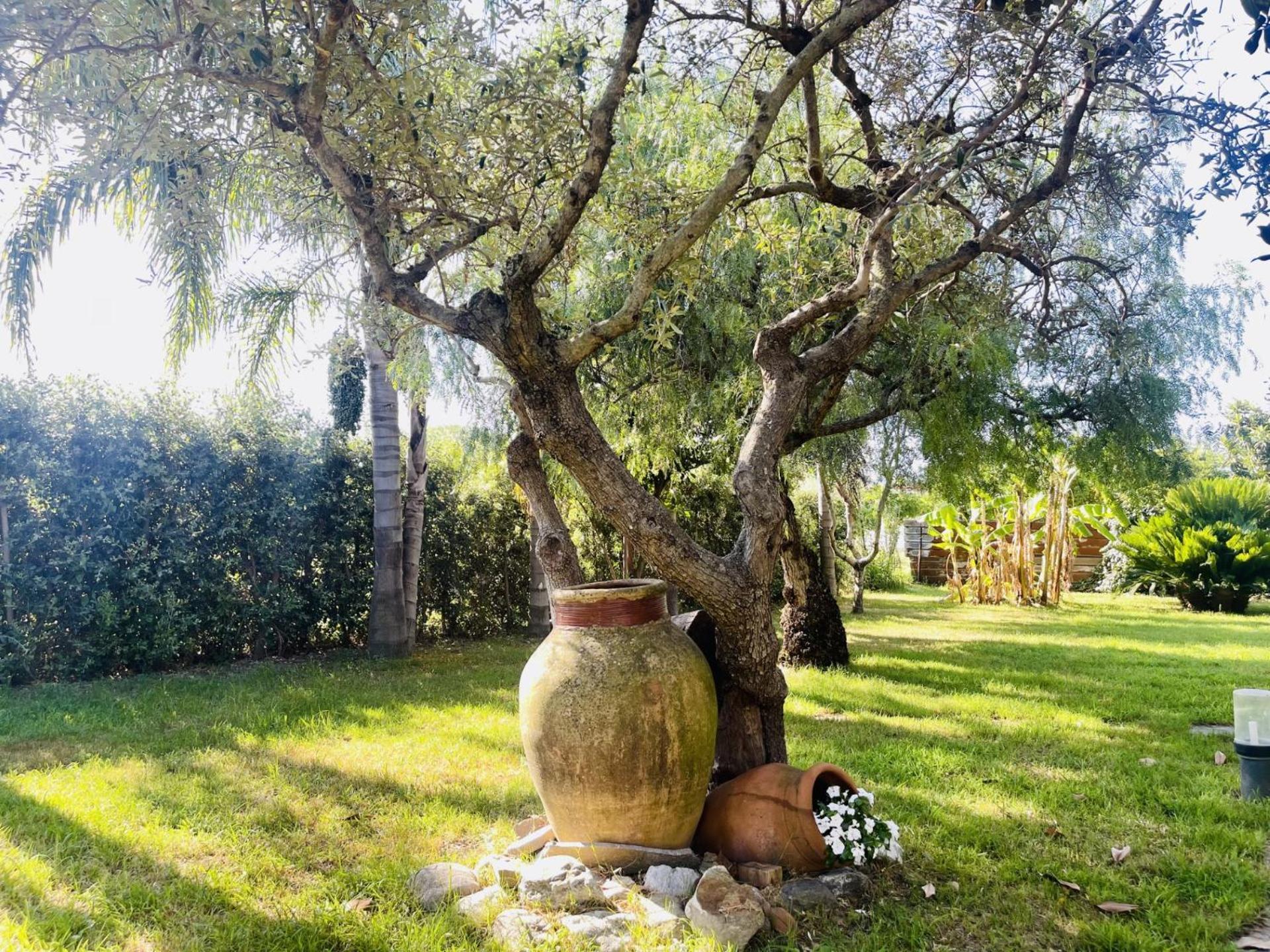 Borgo Camicia In Bed and Breakfast Barcellona-Pozzo di Gotto Exteriör bild